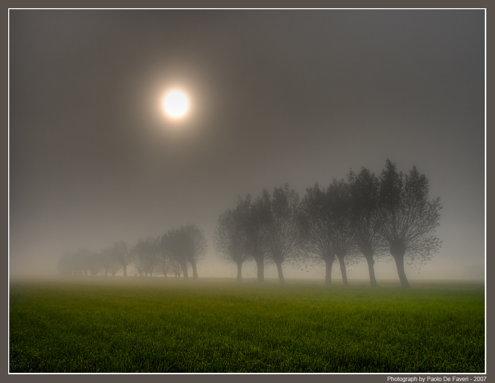 Nebbia in Val Padana.