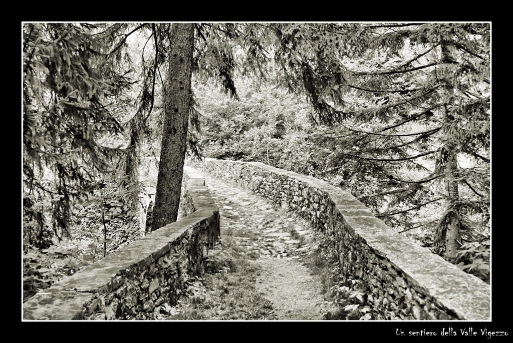 Un sentiero della Valle Vigezzo