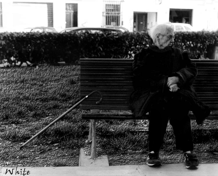 Bastone da compagnia...