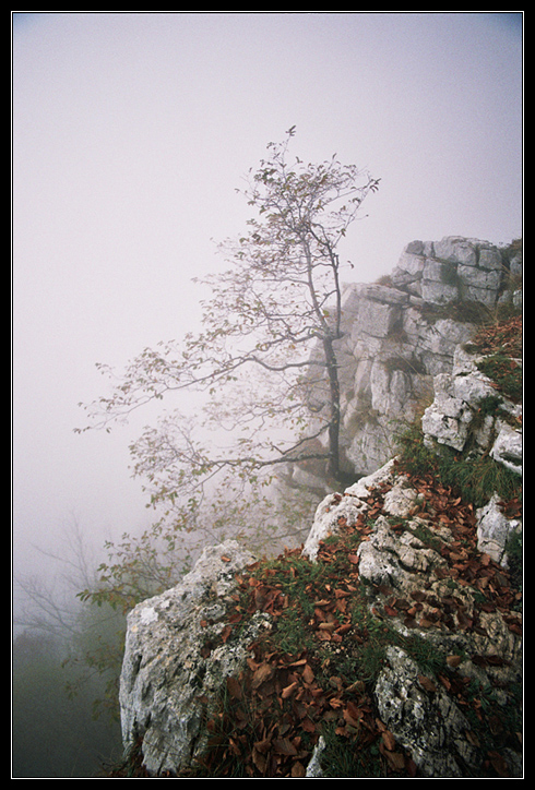 Ripe della Falconara