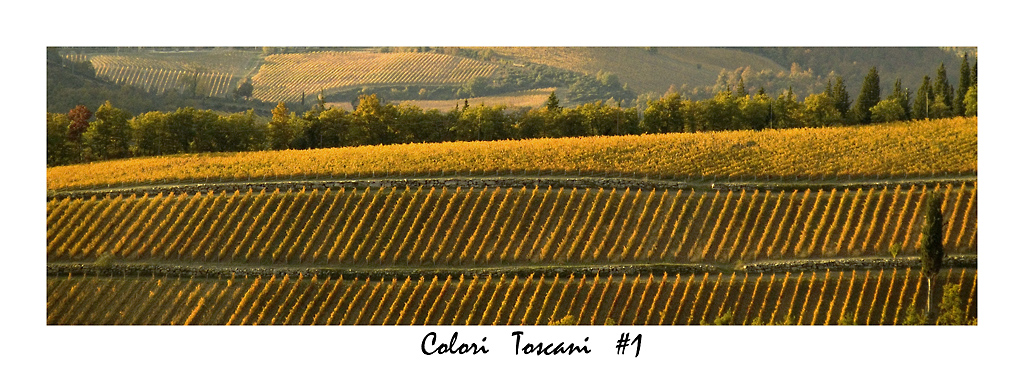 Colori Toscani #1