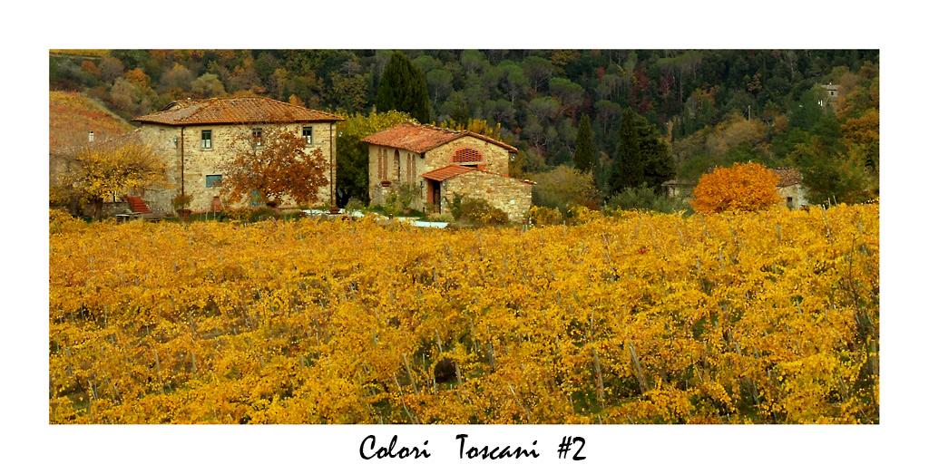 Colori Toscani #2