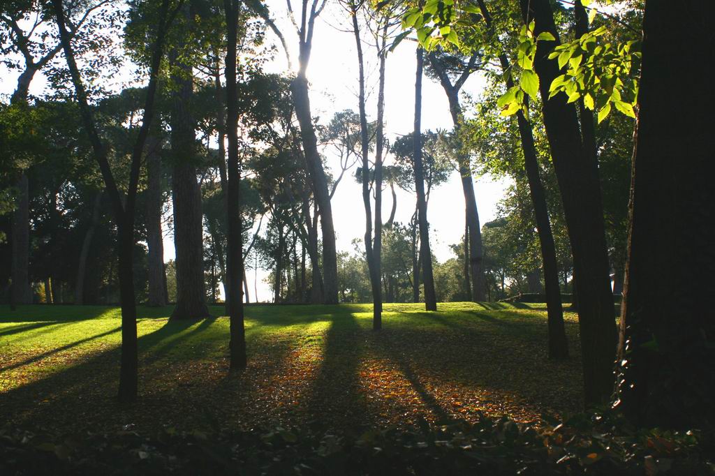 Villa borghese 1