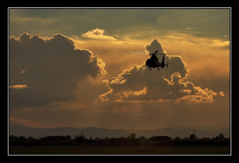 Quasi un Apocalypse Now...