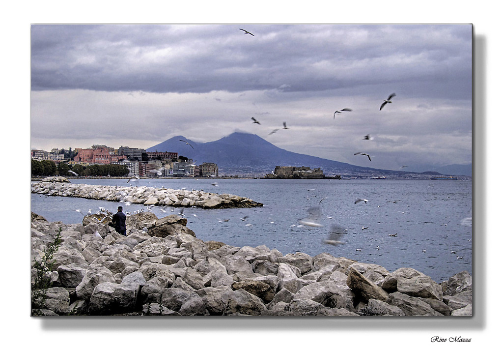 L'amico dei gabbiani