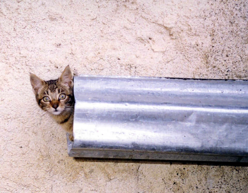 Alla fine dell' avventura.