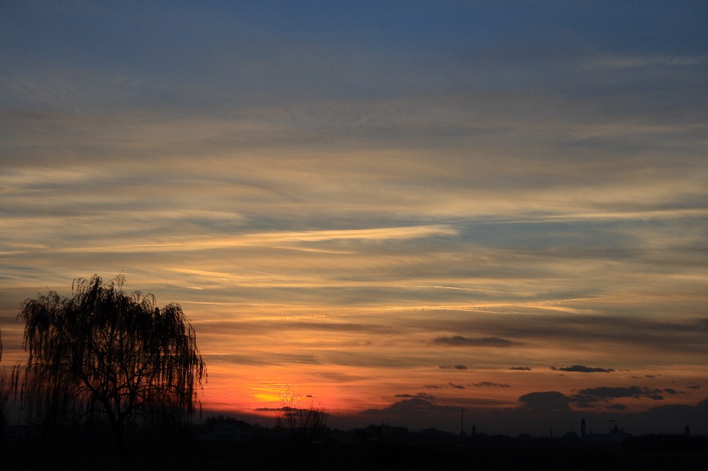 e il salice sta a guardare...