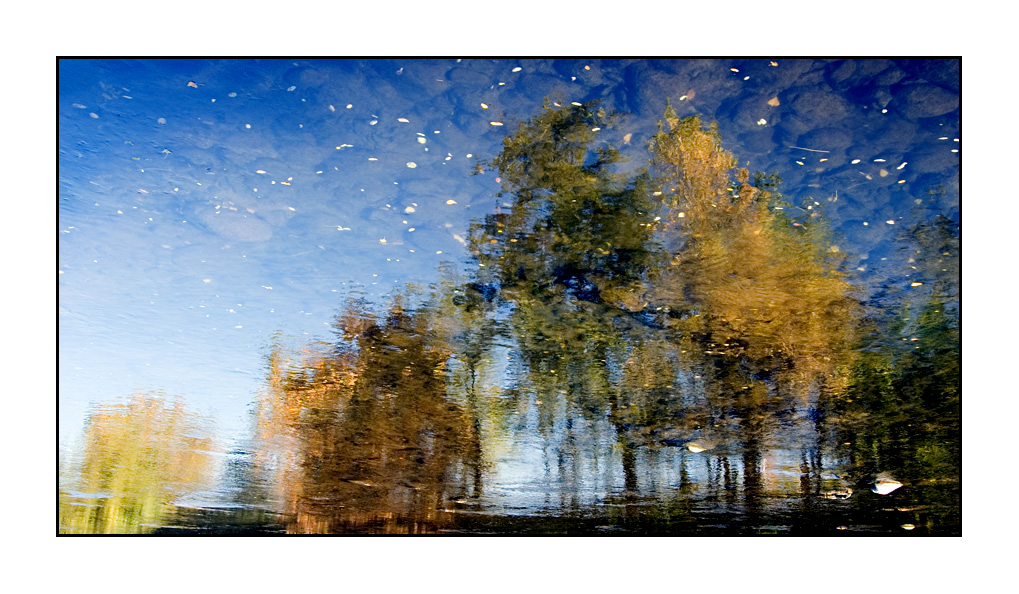 In..versione autunnale