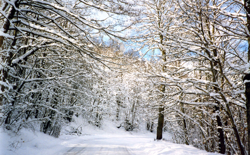 Inverno in Sila