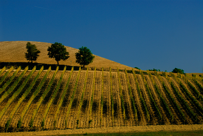 Autunno in Toscana