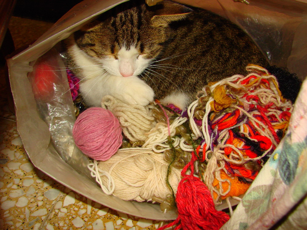 il paradiso di Sally