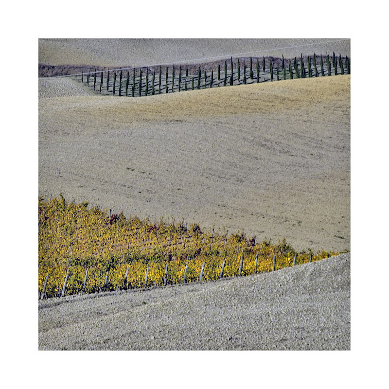 THE COLOURS OF THE EARTH 8