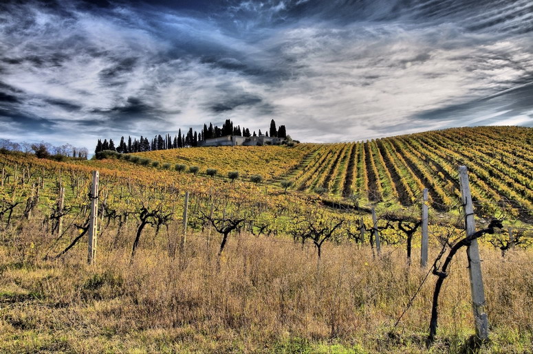 The hill of the silence