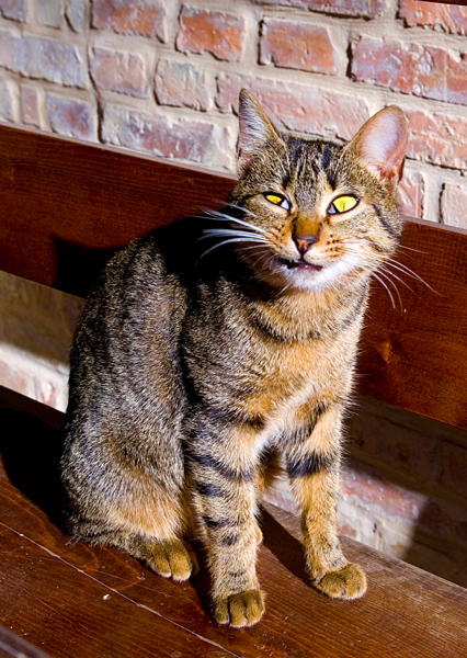 C'� qualcosa che non va