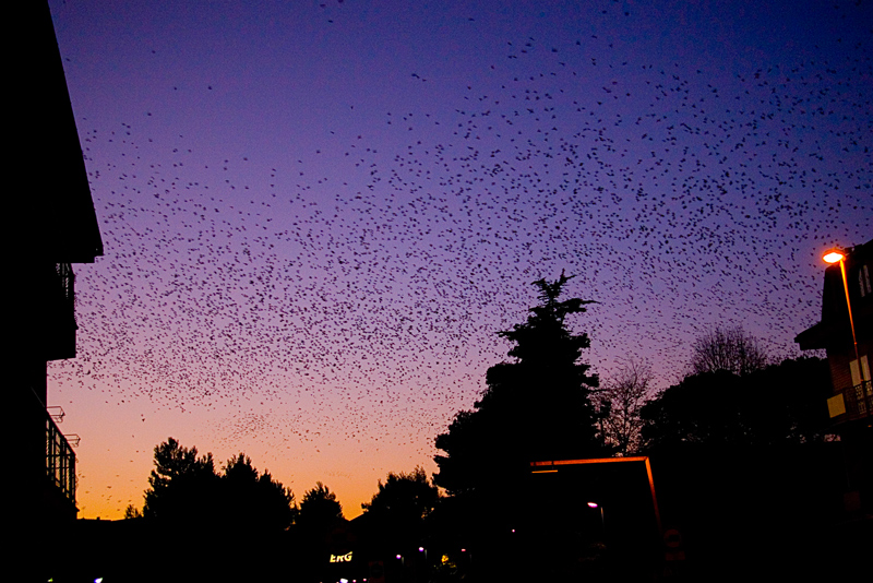 Direttamente da Hitchcock