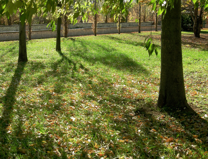 Piccolo parco03