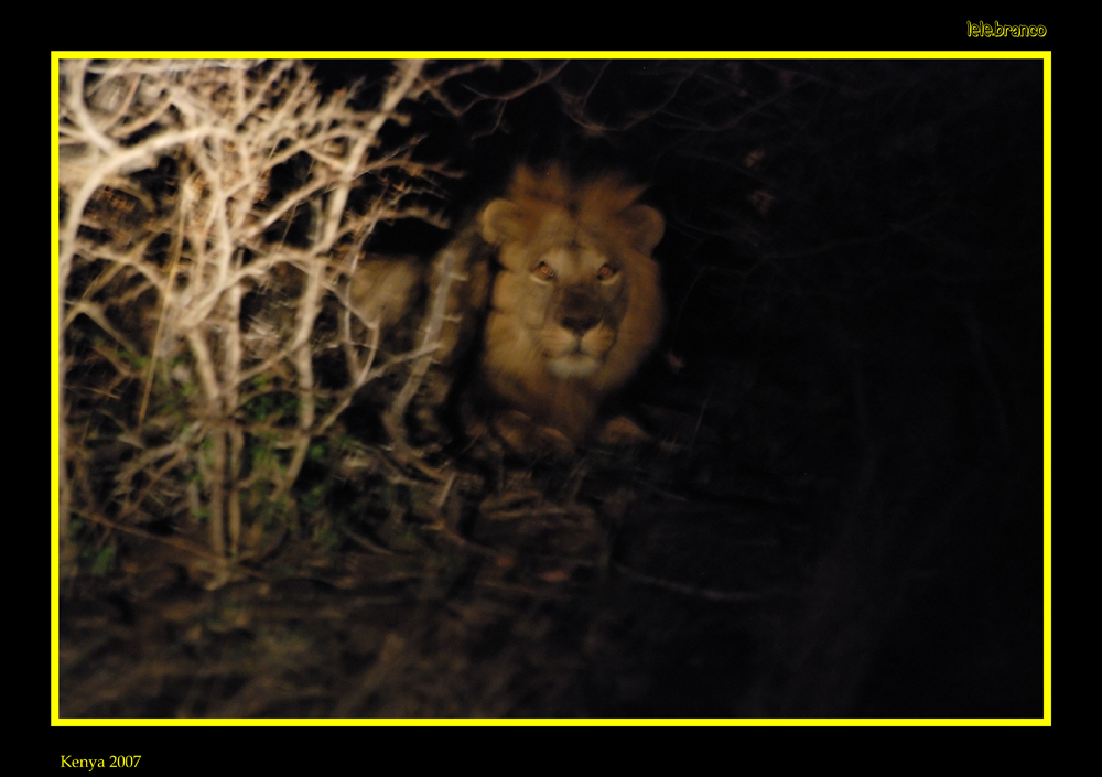 Spiriti nelle tenebre