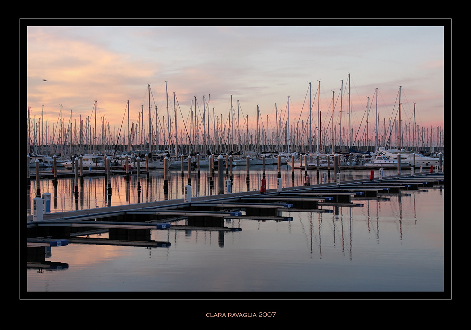 Un foresta... in rosa