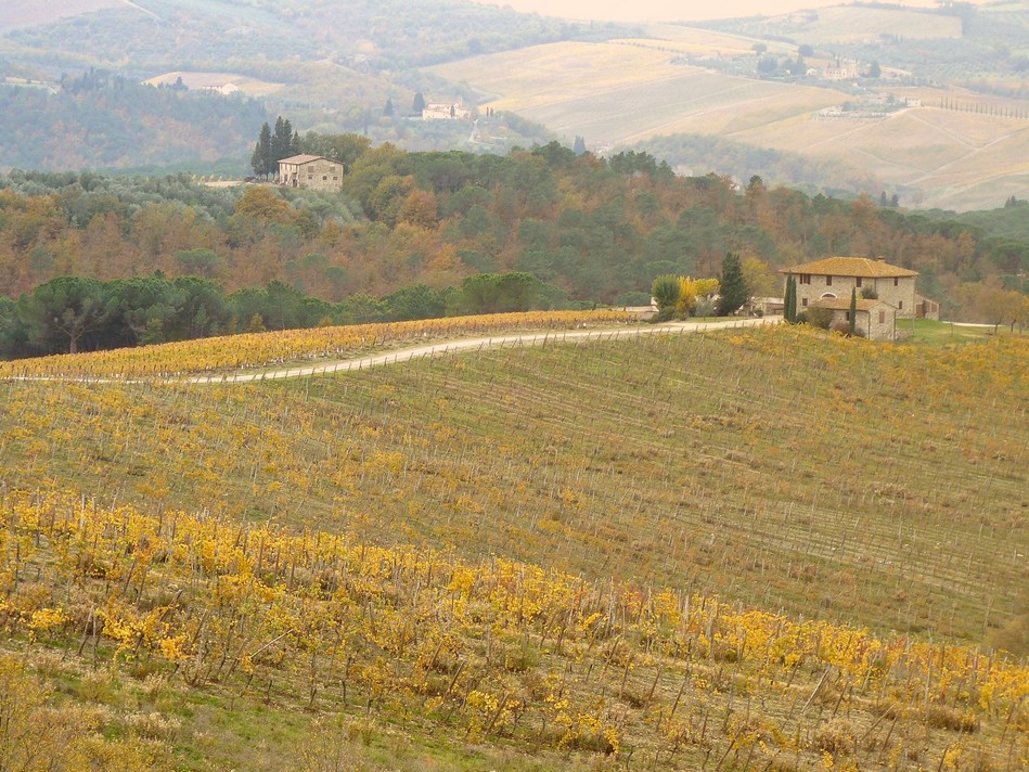 Chianti fiorentino