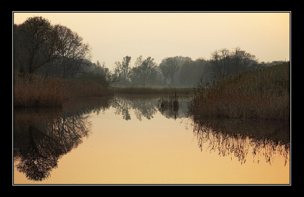 Ormai arriva l'inverno...