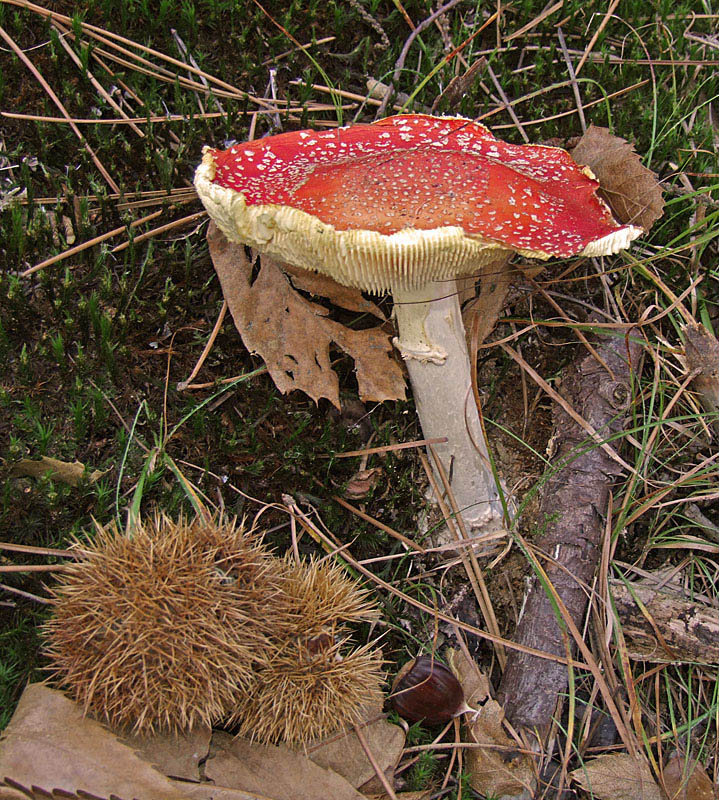 Ultimissime dall'autunno...