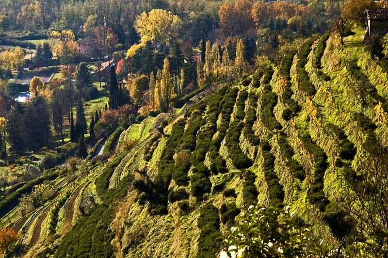 montevecchia (nov 07)