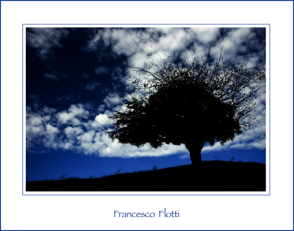 photoshoppando