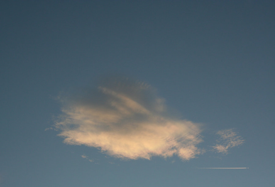 La firma dell'artista