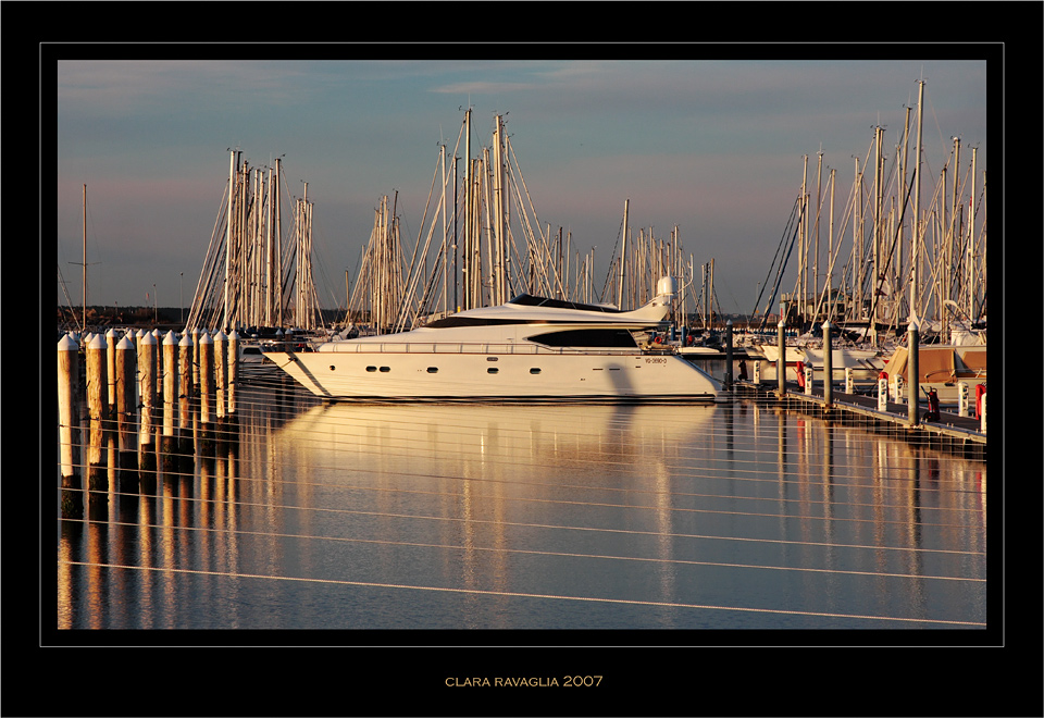 La regina....... in gabbia