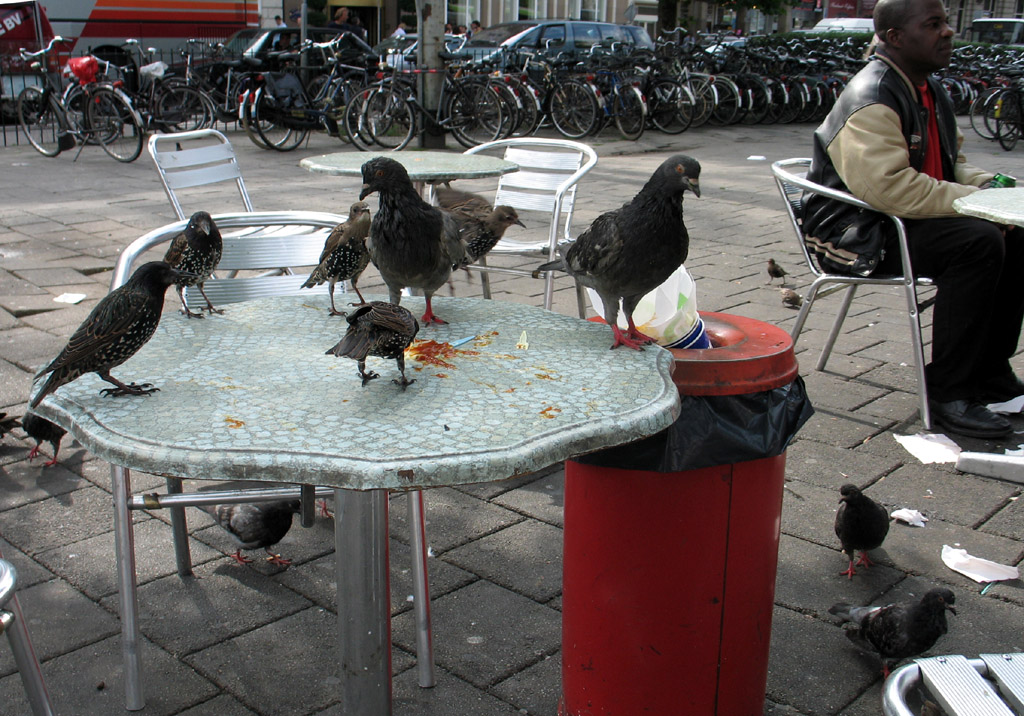 " Personale " ausiliario...