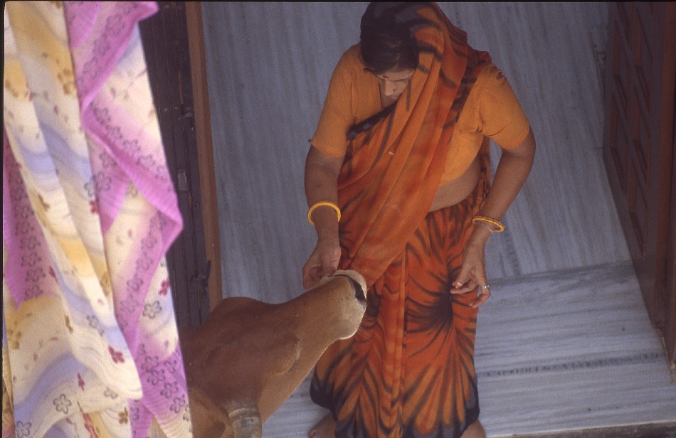 il sacro in india