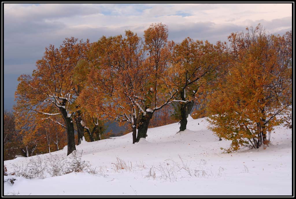 Bianco, giallo, rosso & vento
