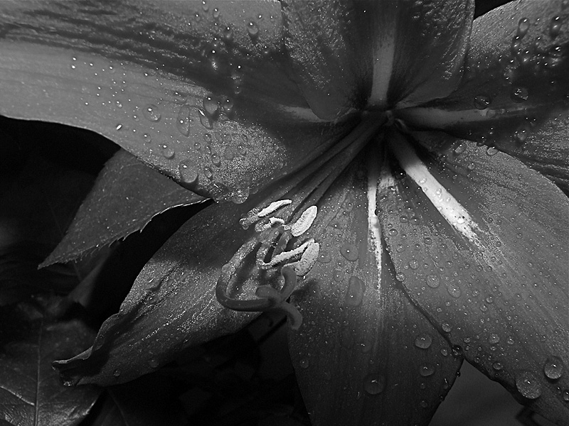 Quando si spengono i colori...