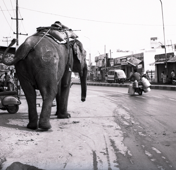 chi va piano va sano e...