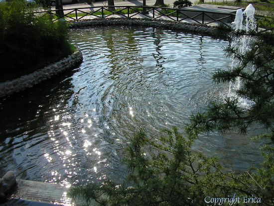 riflessi incantevoli