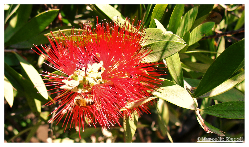 ma cosa c'� qui dietro??