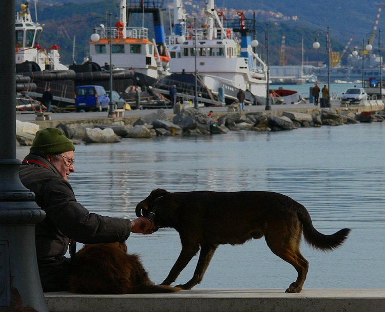 gente del porto