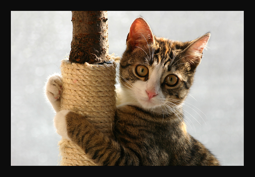 Mi faccio le unghie!