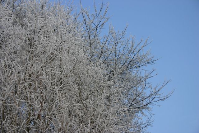 il freddo sta arrivando....