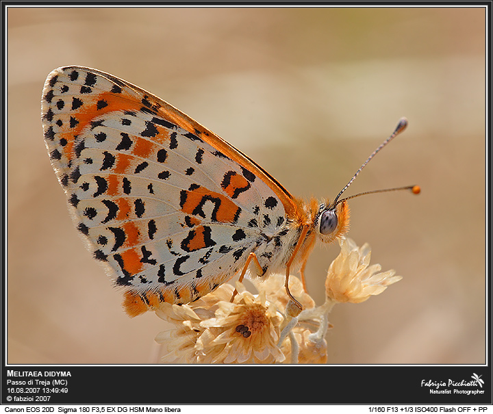 Solare... con nostalgia!