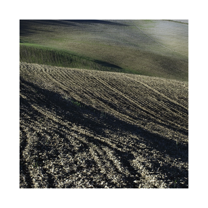 the color of the earth 11