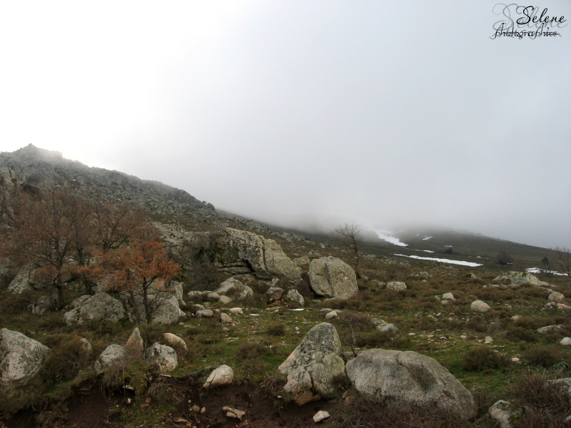 La nebbia imperversa