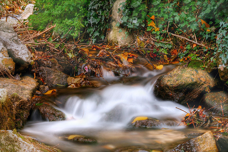 Un piccolo corso d'acqua