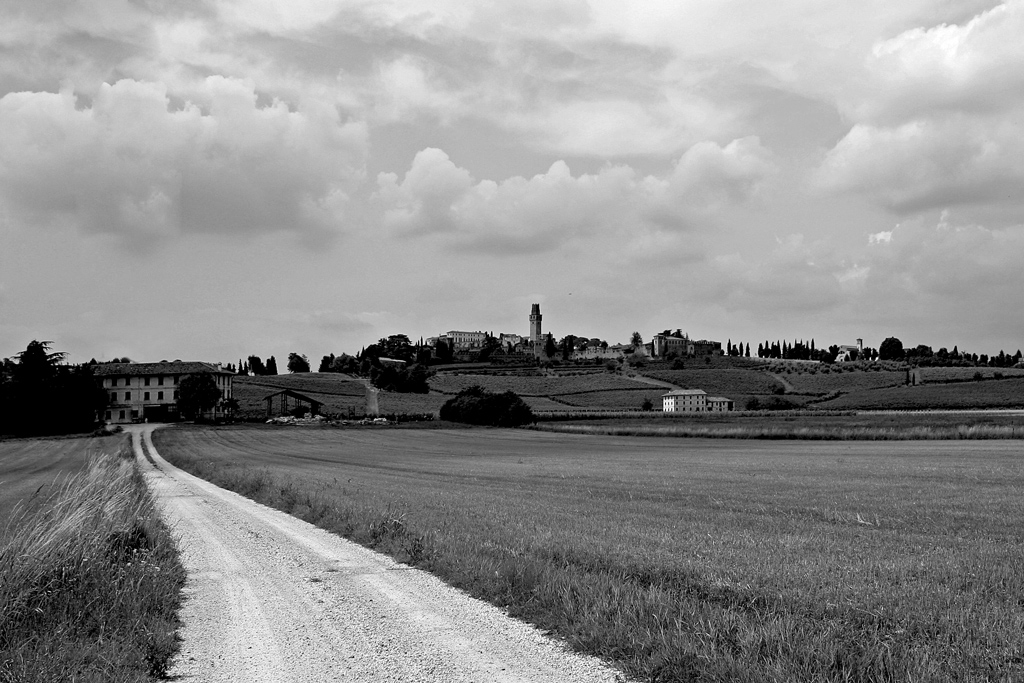 Colline di Conegliano