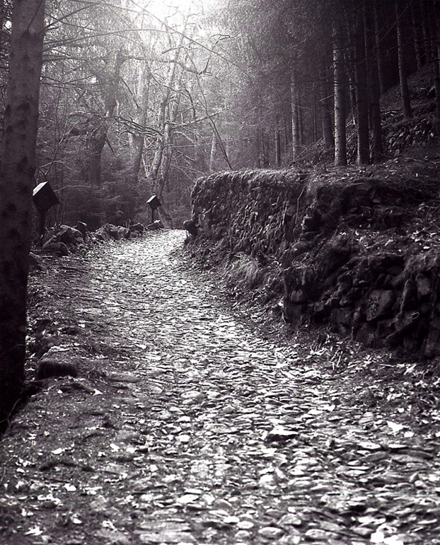 Il cammino della fede