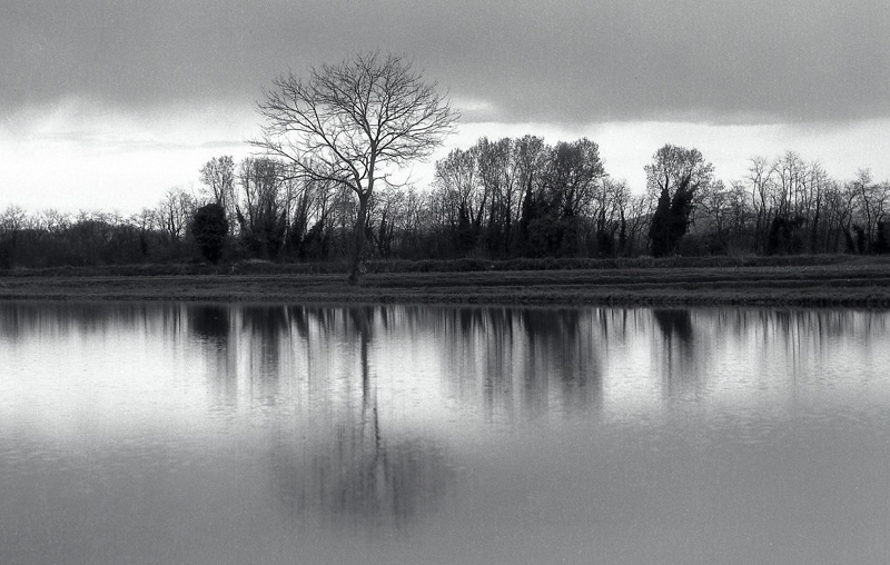 Lo scorrere di un sogno