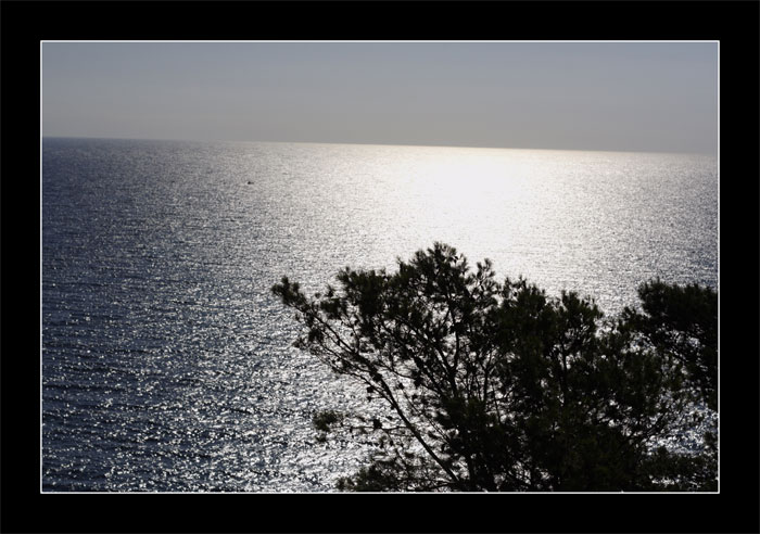 Alghero - pressi Capo Caccia