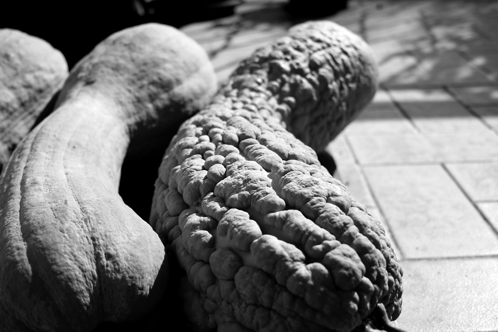 Adolescenza.../Vecchiaia...