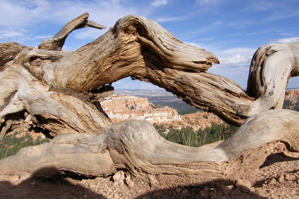 Una finestra sul Bryce Canyon