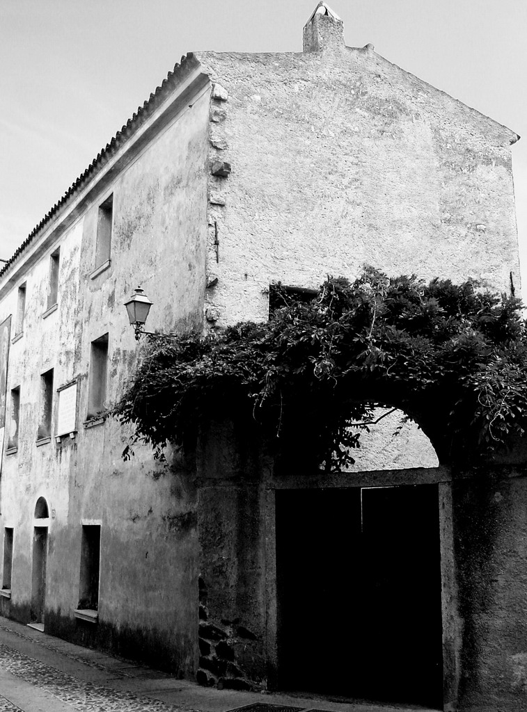 "EDERA" grazia deledda